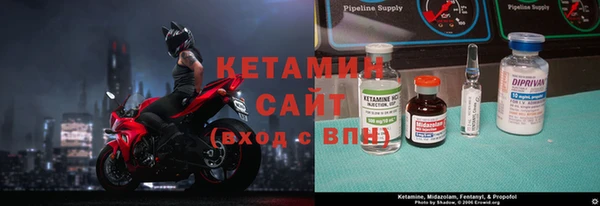 сатива Абинск