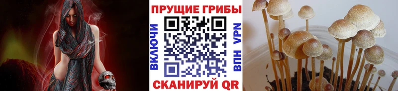 Галлюциногенные грибы мухоморы  хочу   Партизанск 